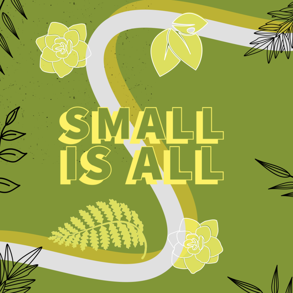 Decorative image with “Small is All” a slogan on a green background, with hand draw foliage.   